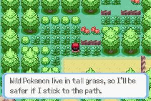 pokemon-tall-grass