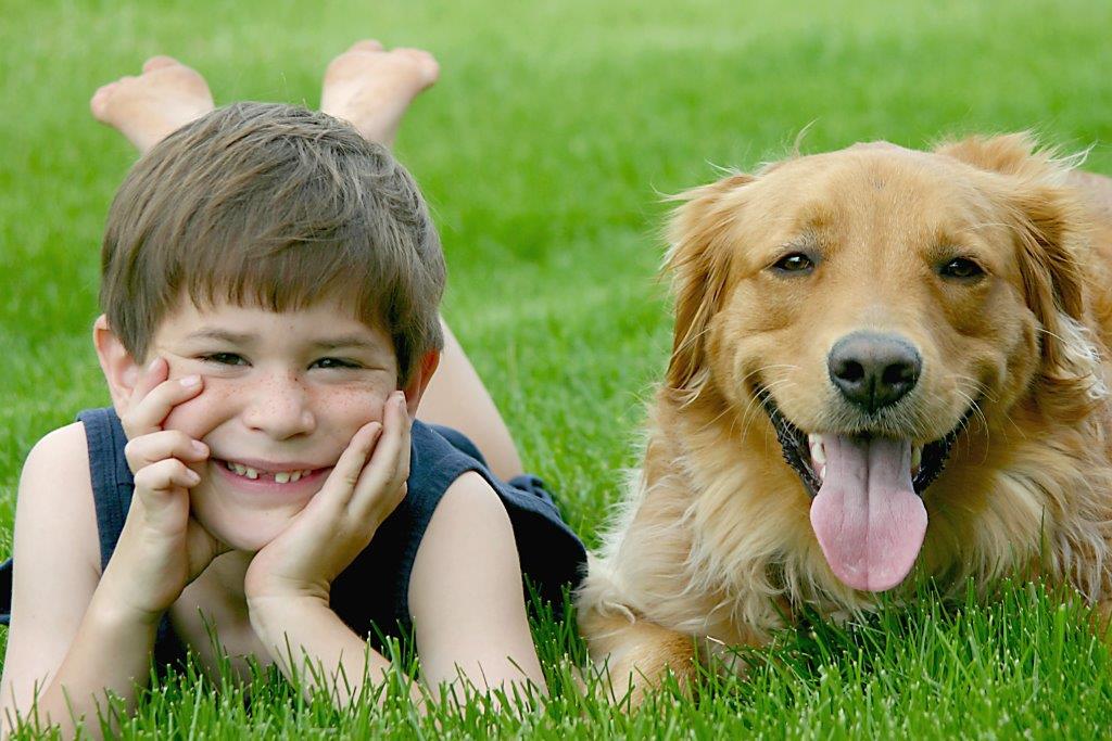Grandchildren will love dogs as pets