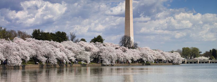 Washington D.C. | Photo Credit WikiMedia Commons